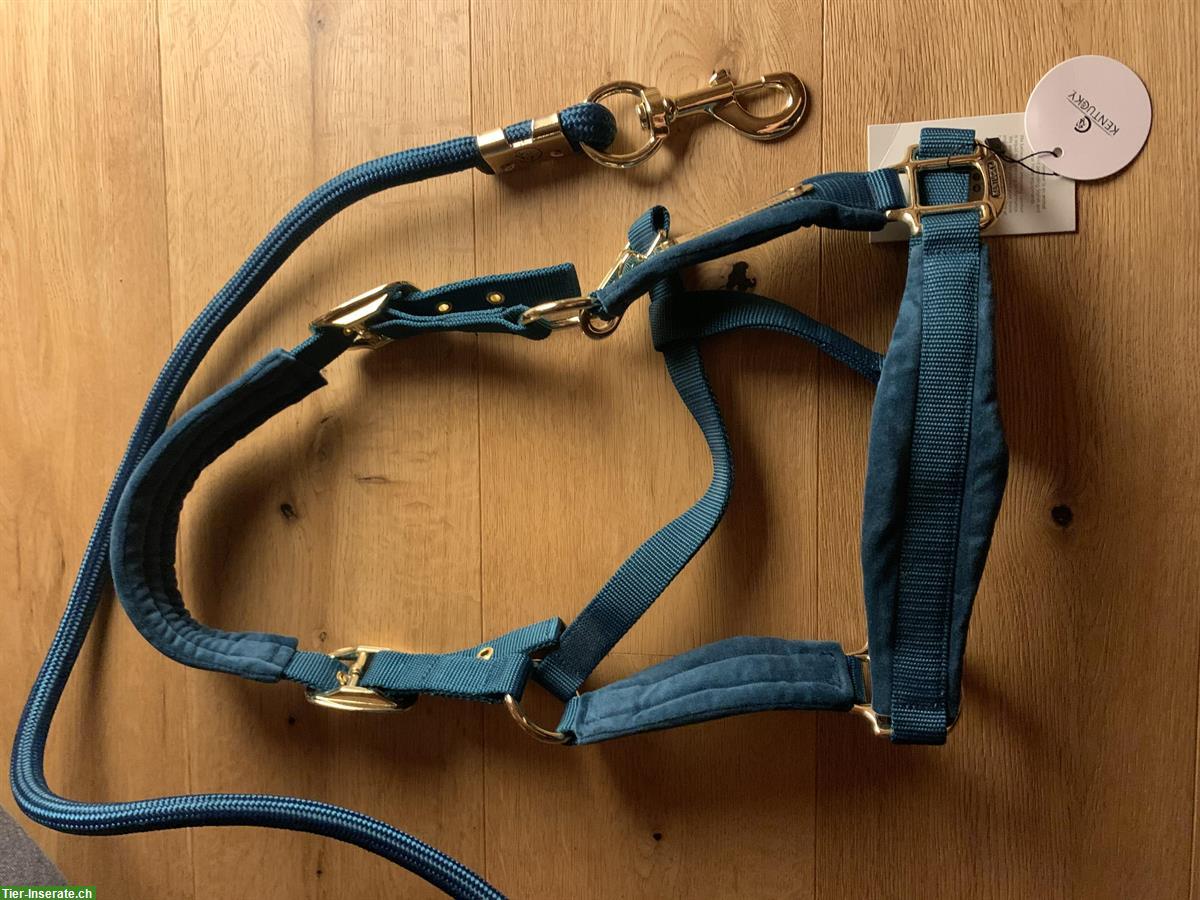 Halfter Velvet Kentucky Horsewear zu verkaufen