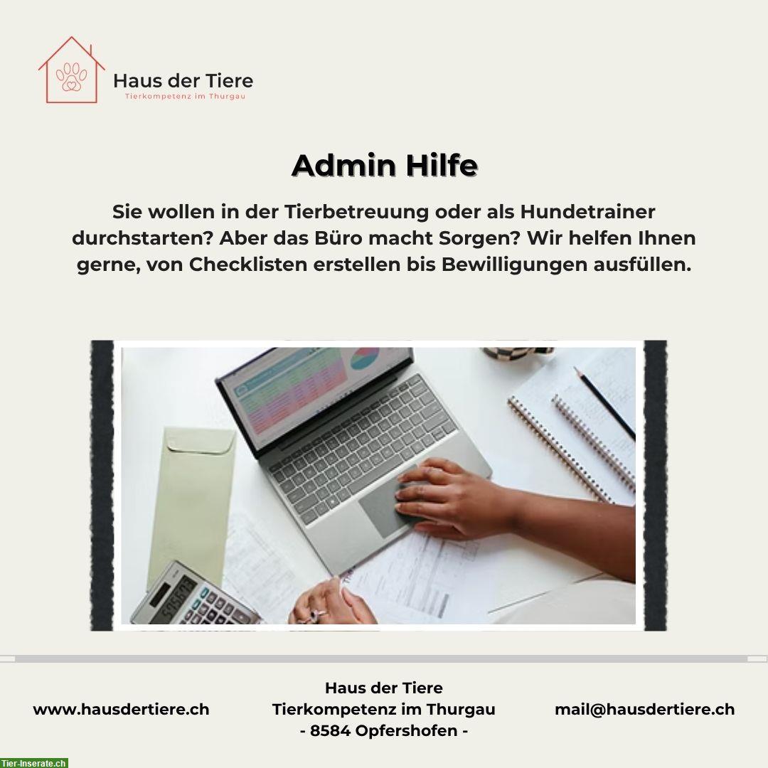 Bild 10: Kapazitäten frei in unserer Hundepension & Tierheim