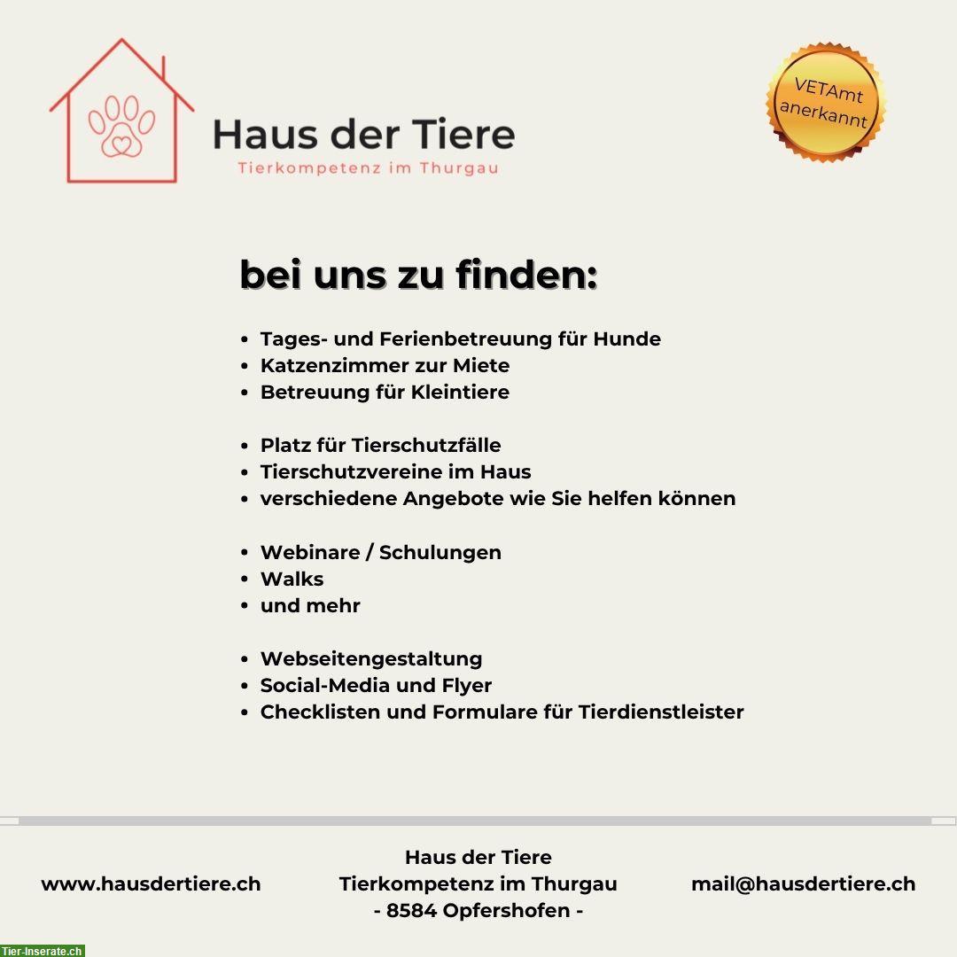 Bild 3: Kapazitäten frei in unserer Hundepension & Tierheim