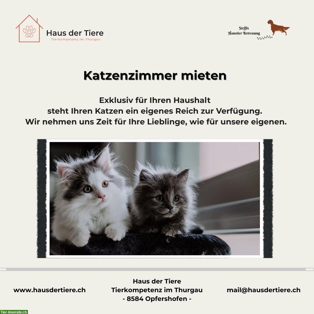 Bild 5: Kapazitäten frei in unserer Hundepension & Tierheim