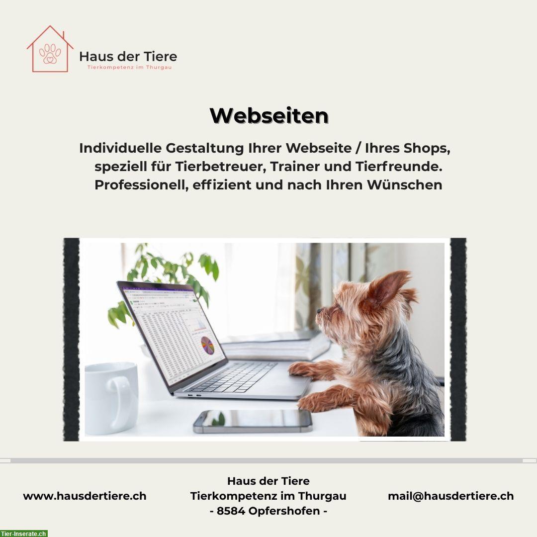 Bild 8: Kapazitäten frei in unserer Hundepension & Tierheim