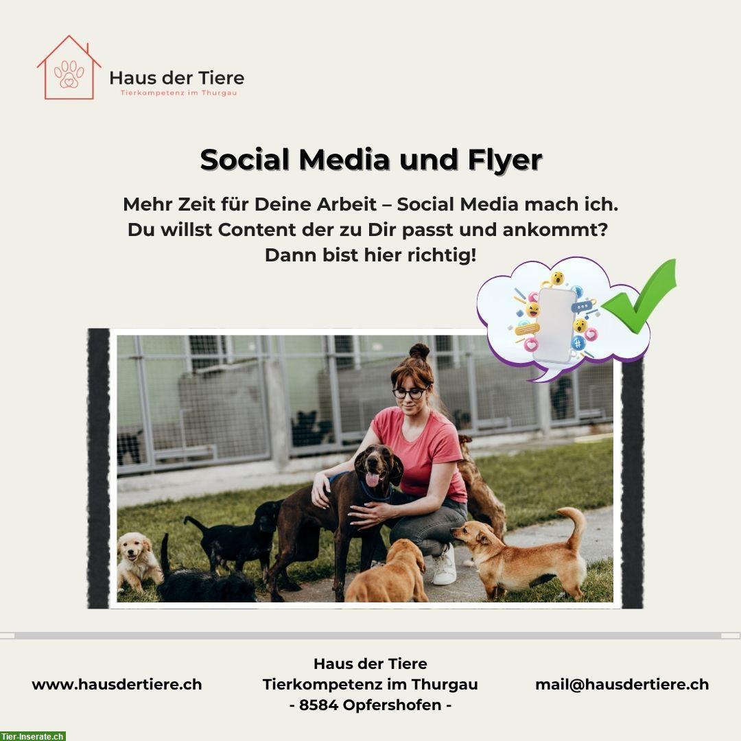 Bild 9: Kapazitäten frei in unserer Hundepension & Tierheim