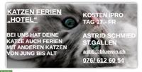 Katzen Ferien Hotel - Kanton St. Gallen