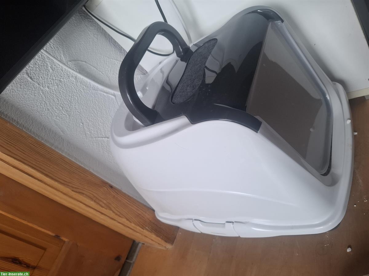 Bild 7: Babykatzen + 2× Kratzbaum Näpfe Katzenklo diverse Spielsachen