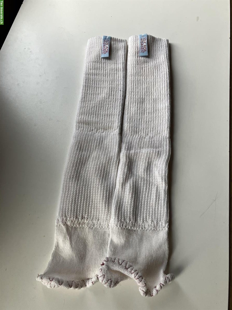 Pferdesocken, Silver Socks, Sox For Horses!