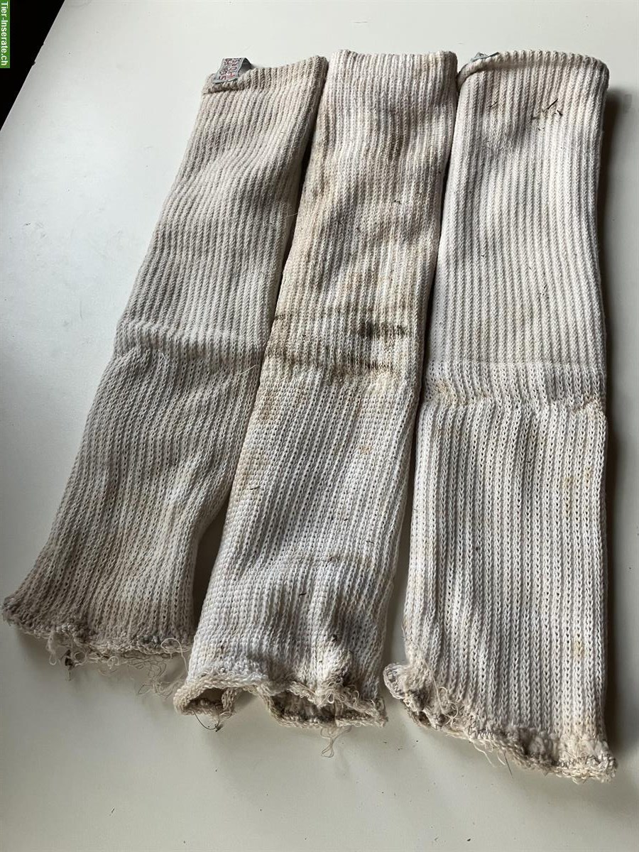 Bild 2: Pferdesocken, Silver Socks, Sox For Horses!