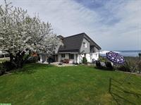 Schäferhund Welpe gesucht