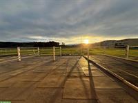 Grosse Pferde Auslaufboxe frei, Seftigen BE