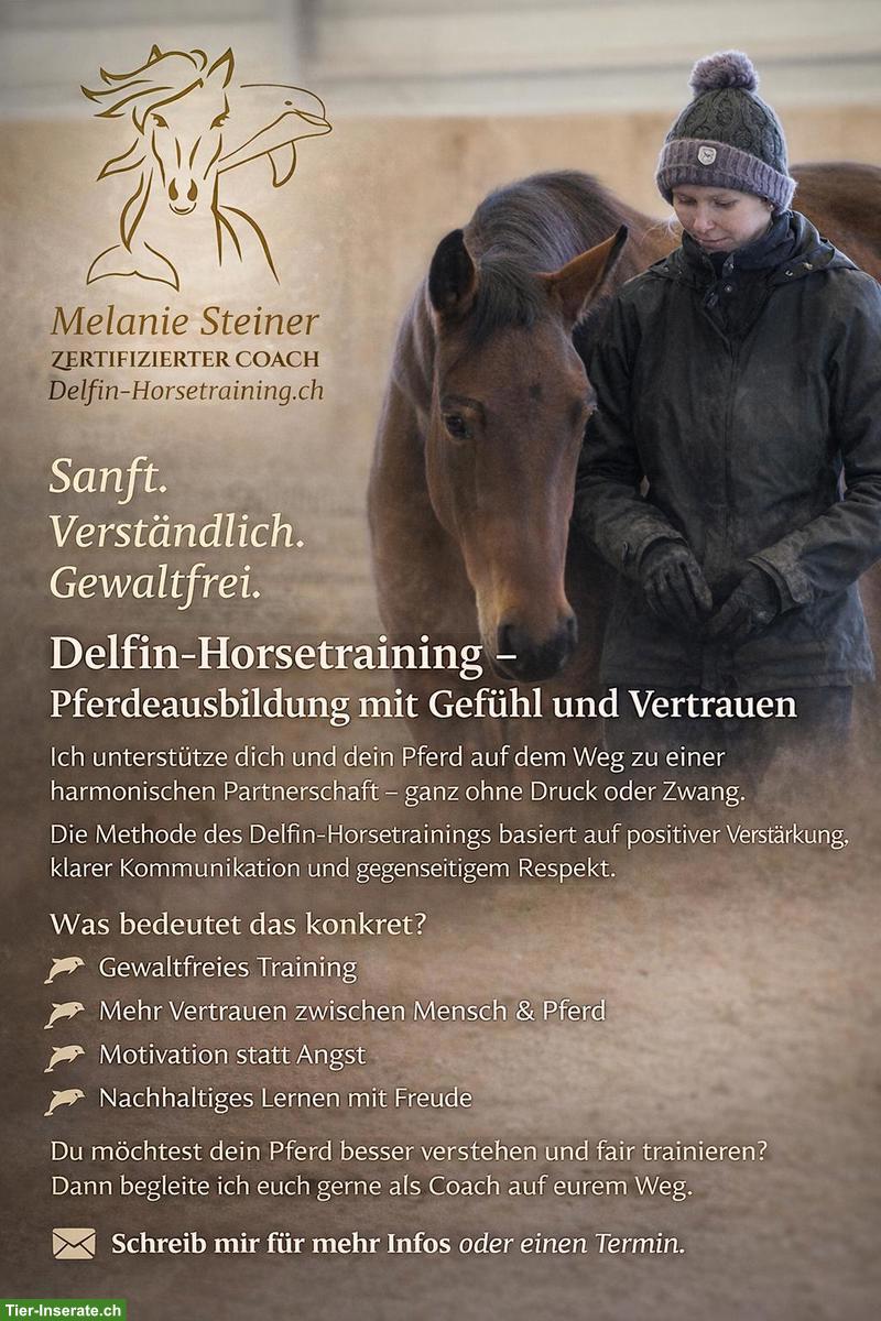 Vertrauen, Verbindung, Gewaltfrei - und trotzdem erfolgreich