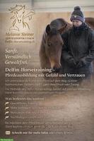 Vertrauen, Verbindung, Gewaltfrei - und trotzdem erfolgreich