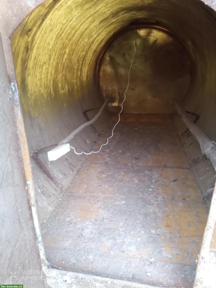 Bild 2: Silo gratis abzugeben, Schneisingen AG