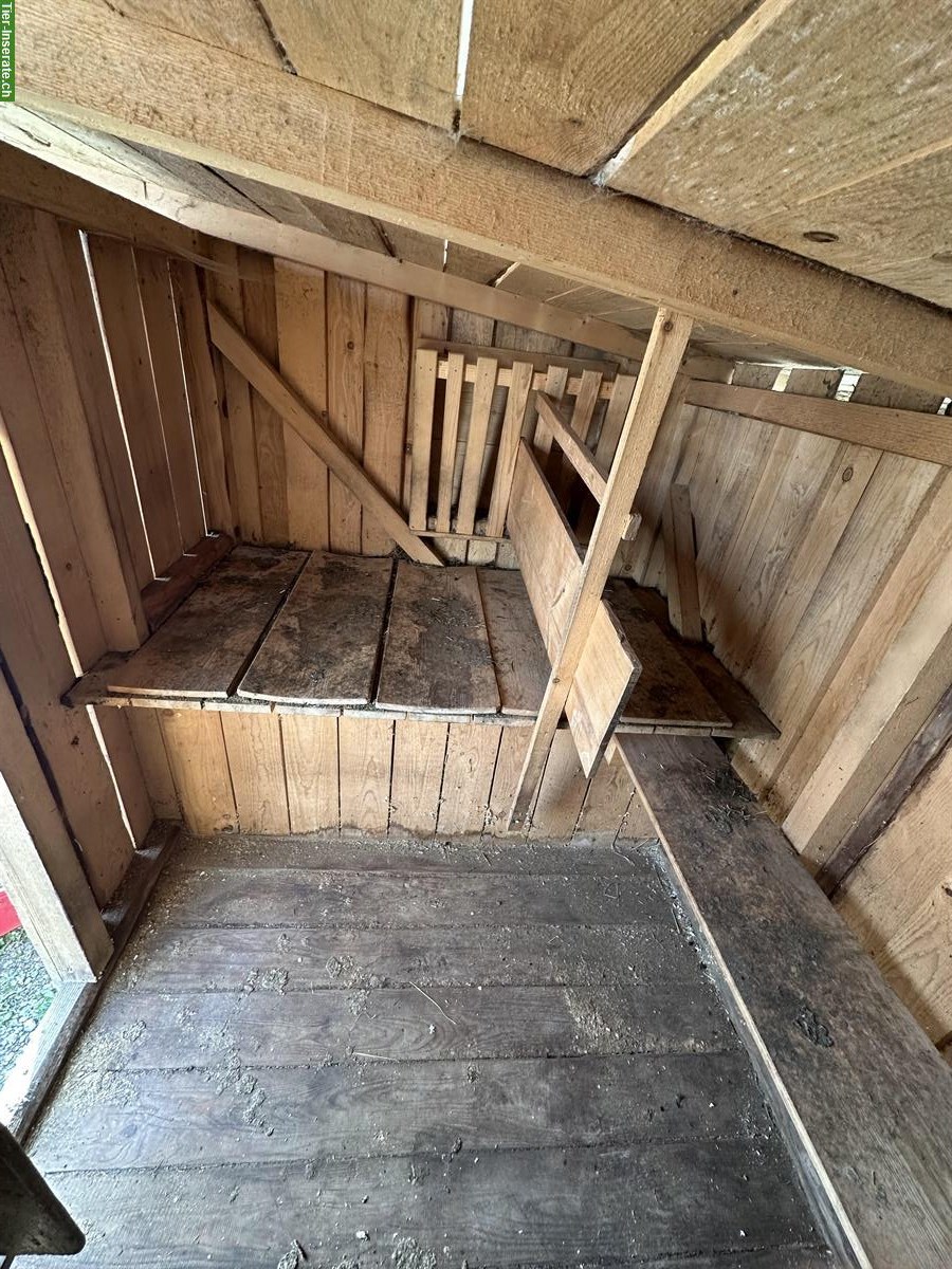 Bild 2: Grosser Kleintierstall zu verkaufen