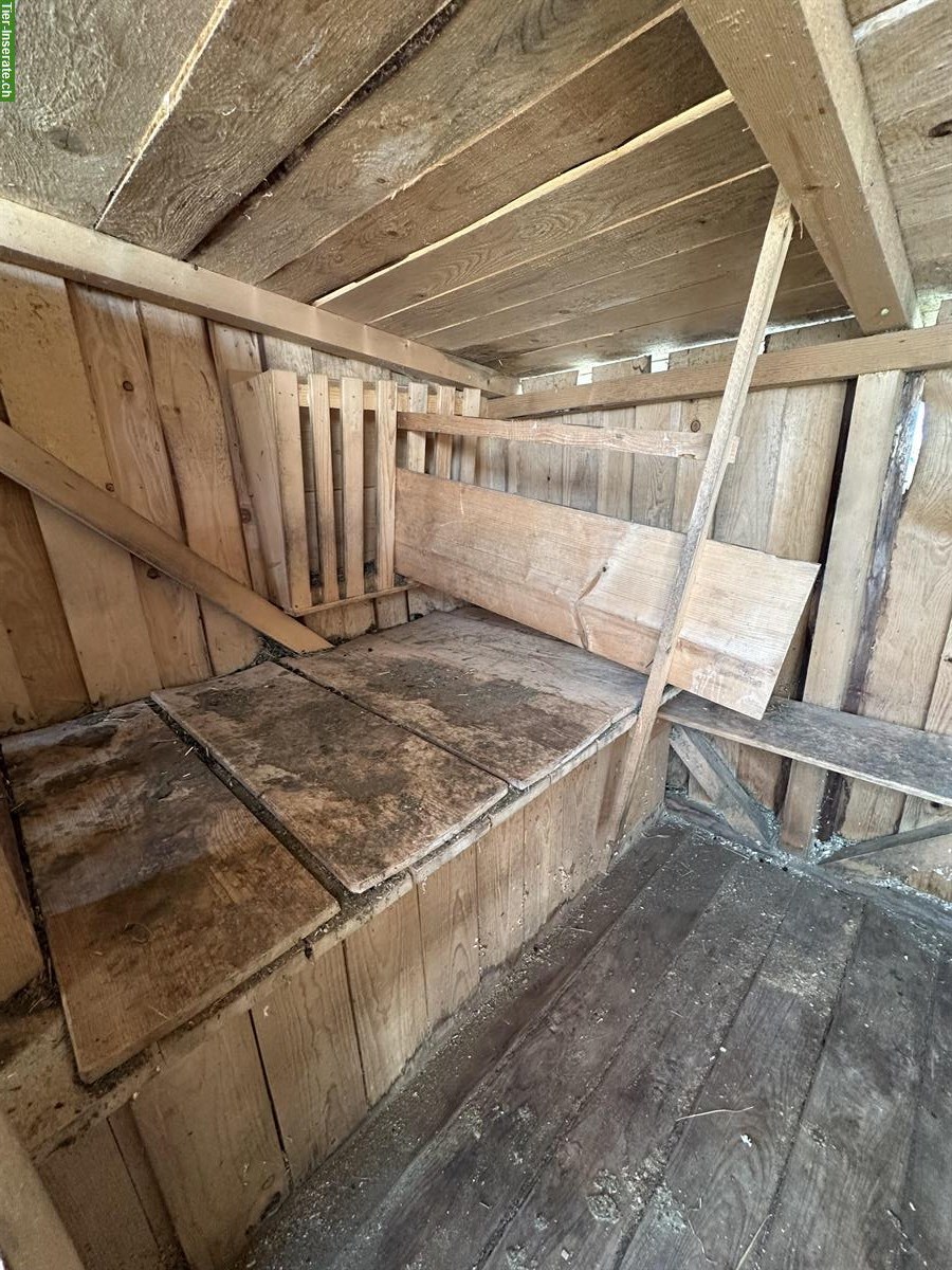 Bild 3: Grosser Kleintierstall zu verkaufen