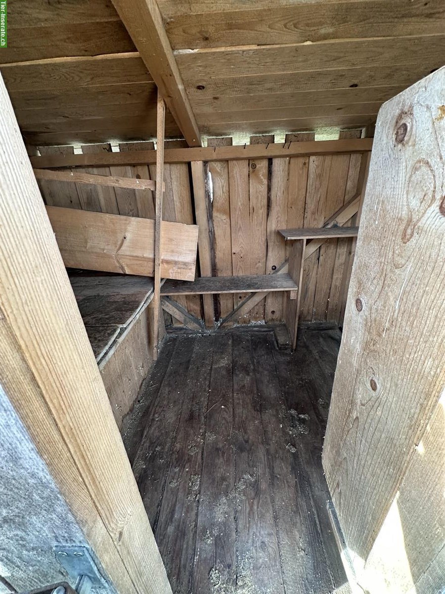 Bild 4: Grosser Kleintierstall zu verkaufen