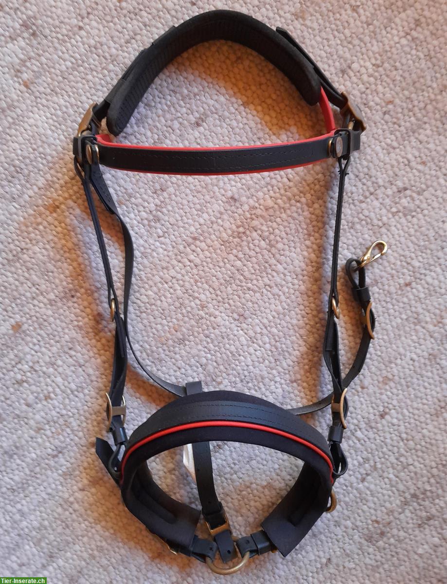 Zaum schwarz-rot mit Vorgeschirr und Zubehör, aus Biothane