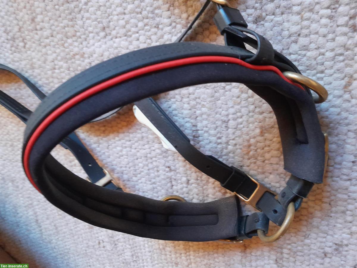 Bild 2: Zaum schwarz-rot mit Vorgeschirr und Zubehör, aus Biothane