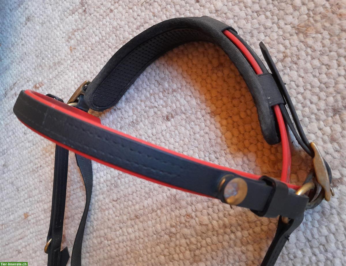 Bild 3: Zaum schwarz-rot mit Vorgeschirr und Zubehör, aus Biothane