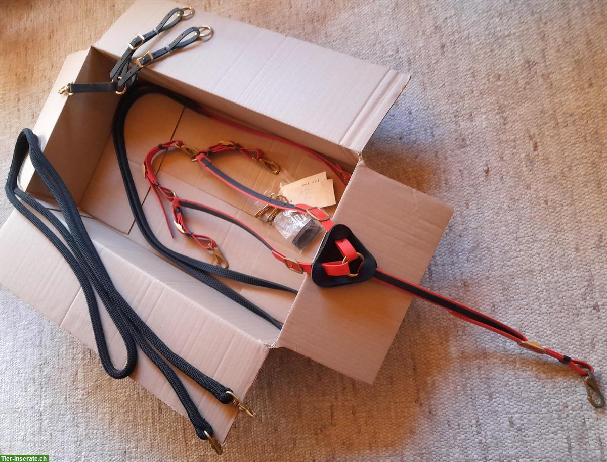 Bild 4: Zaum schwarz-rot mit Vorgeschirr und Zubehör, aus Biothane