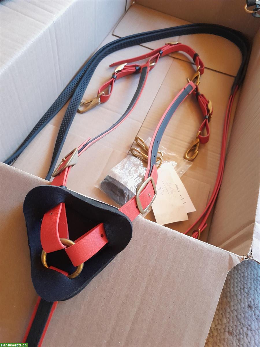 Bild 5: Zaum schwarz-rot mit Vorgeschirr und Zubehör, aus Biothane