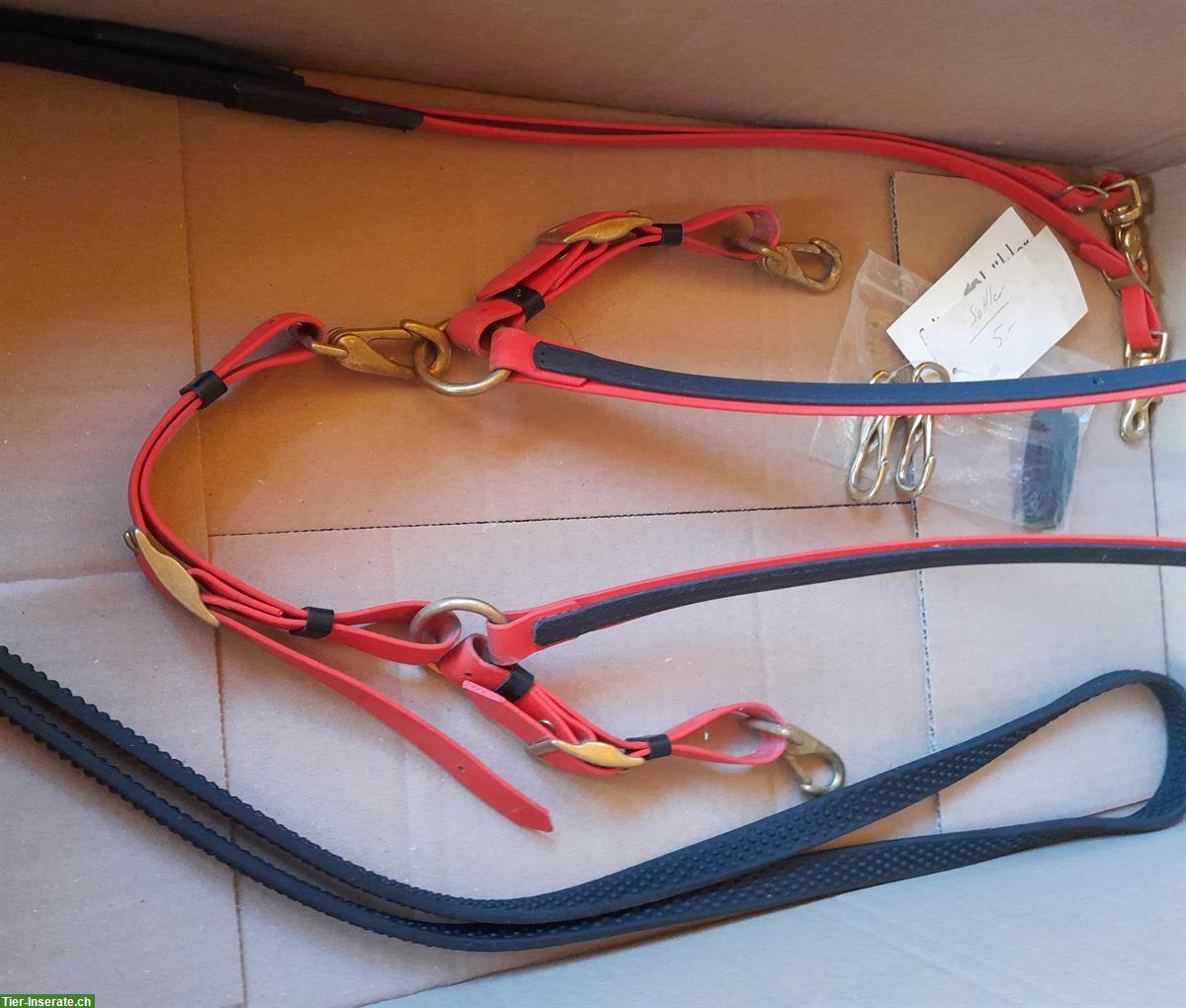 Bild 6: Zaum schwarz-rot mit Vorgeschirr und Zubehör, aus Biothane