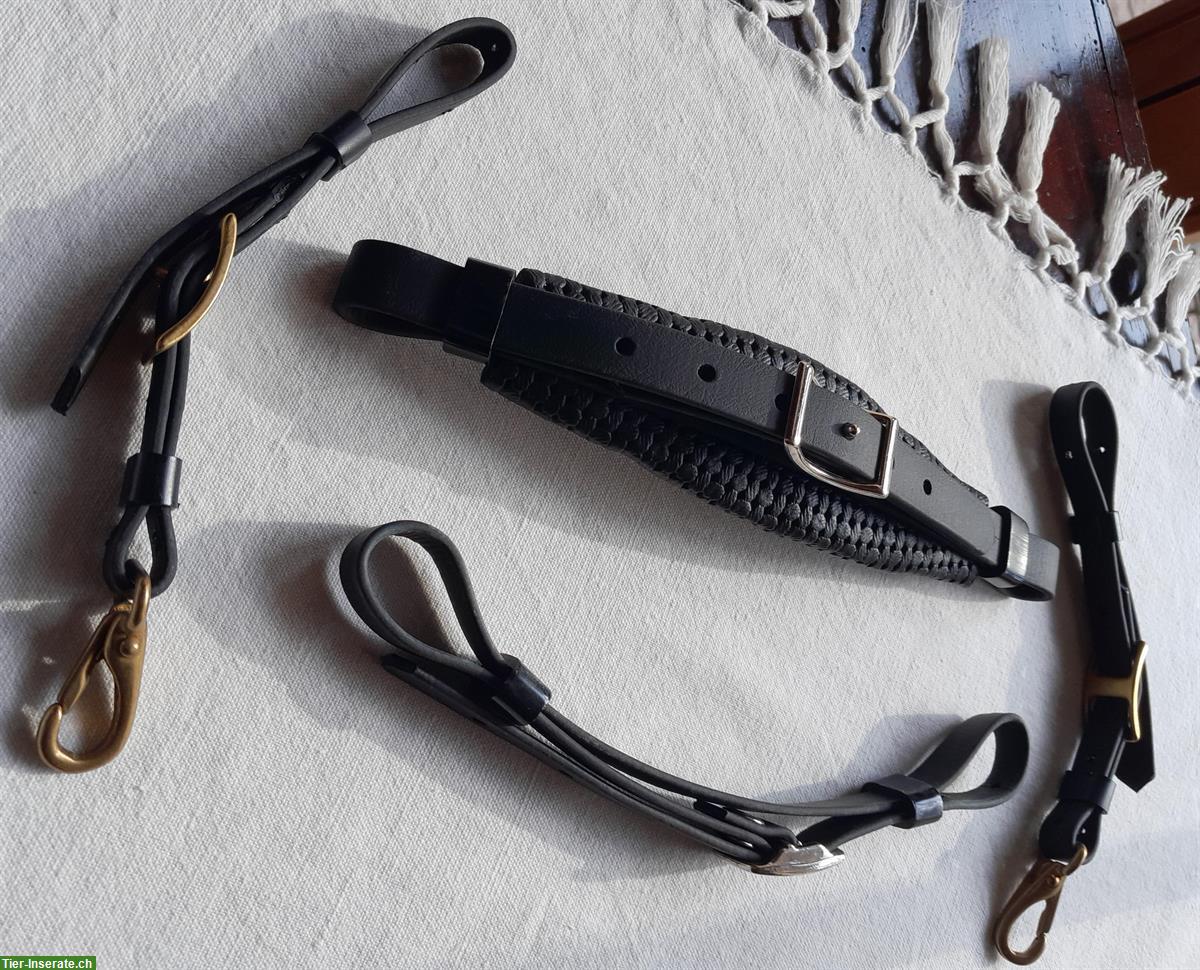 Bild 7: Zaum schwarz-rot mit Vorgeschirr und Zubehör, aus Biothane