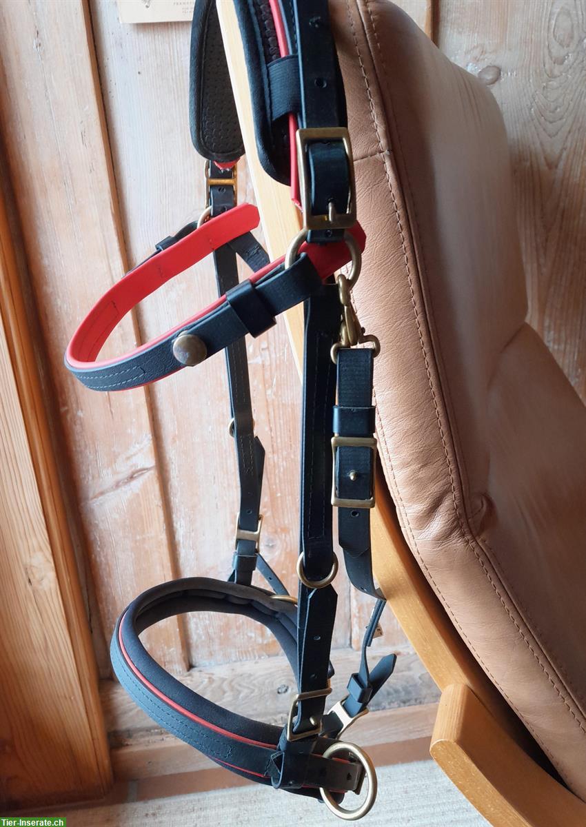 Bild 8: Zaum schwarz-rot mit Vorgeschirr und Zubehör, aus Biothane