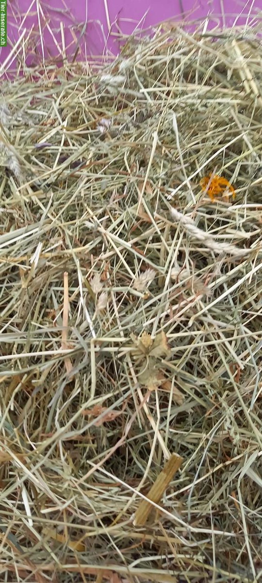 Öko Heu (Ernte 2025) zu verkaufen