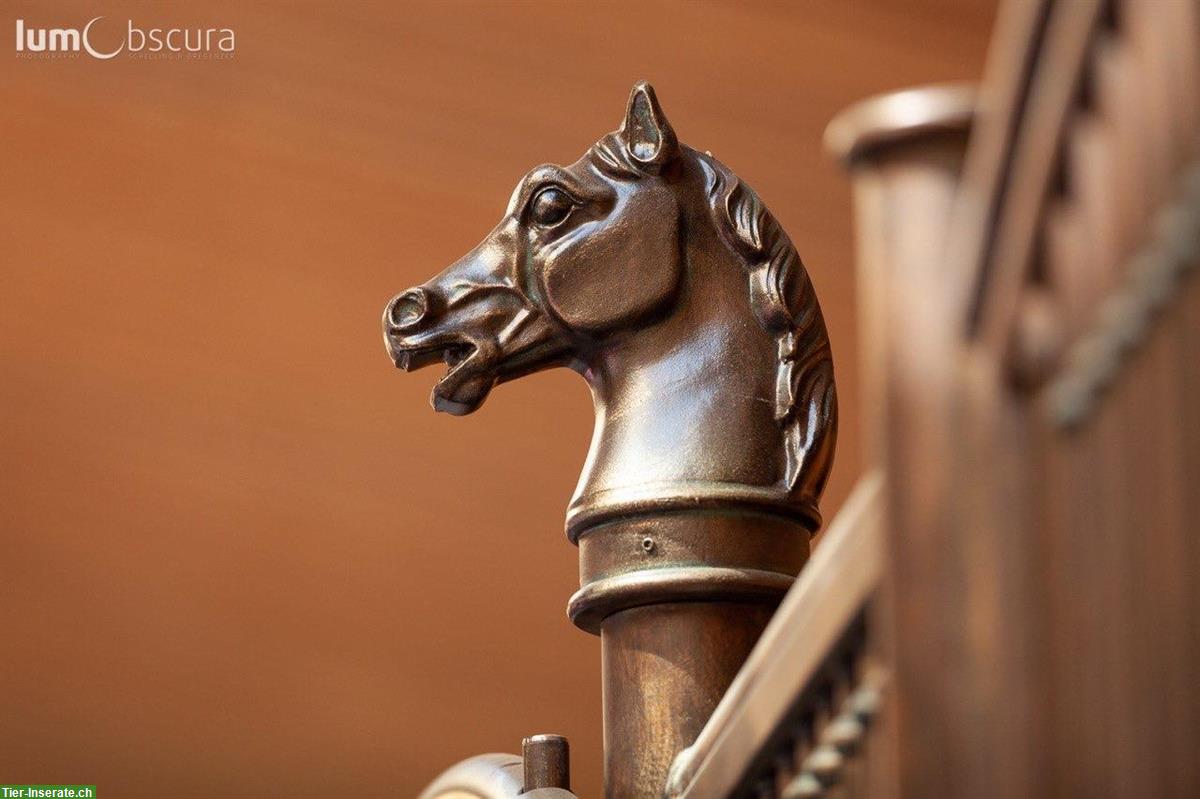 Schöne Auslaufboxe frei, Hengst/ Wallach ab 1. März 26