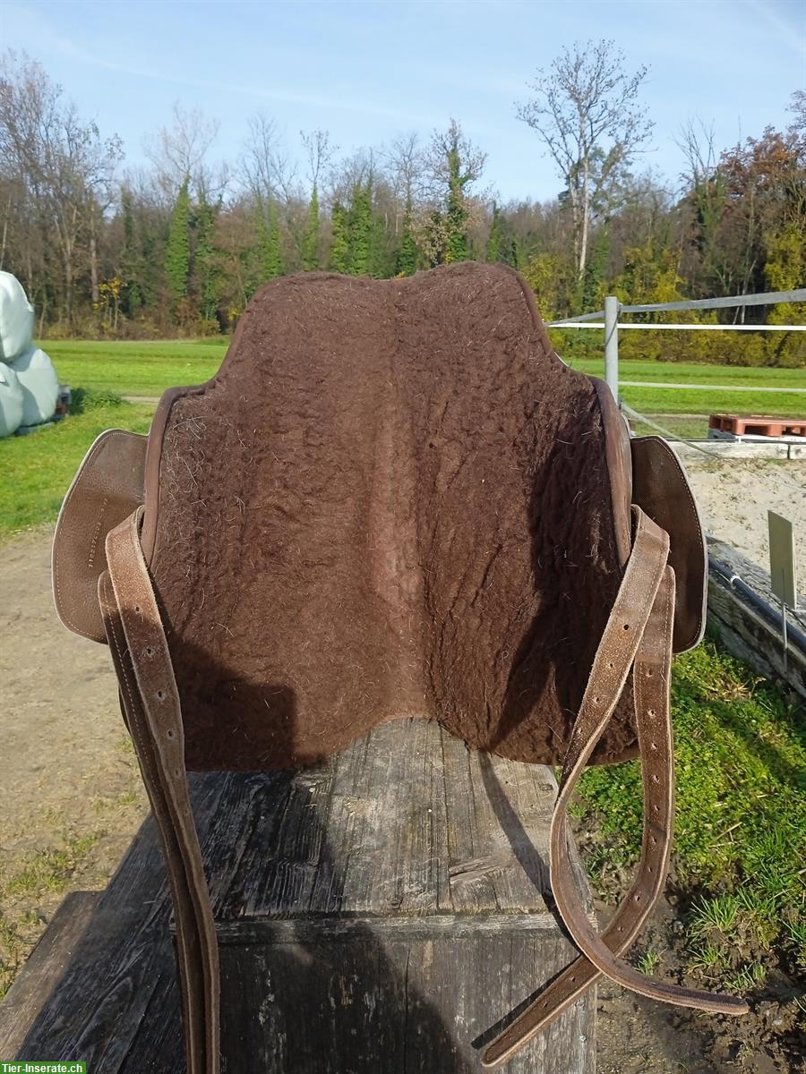 Bild 3: Barefoot Cheyenne Sattel Gr. 2 zu verkaufen