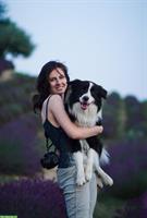 Trainerin oder Dogsitterin mit Erfahrung sucht Arbeit mit Hunden