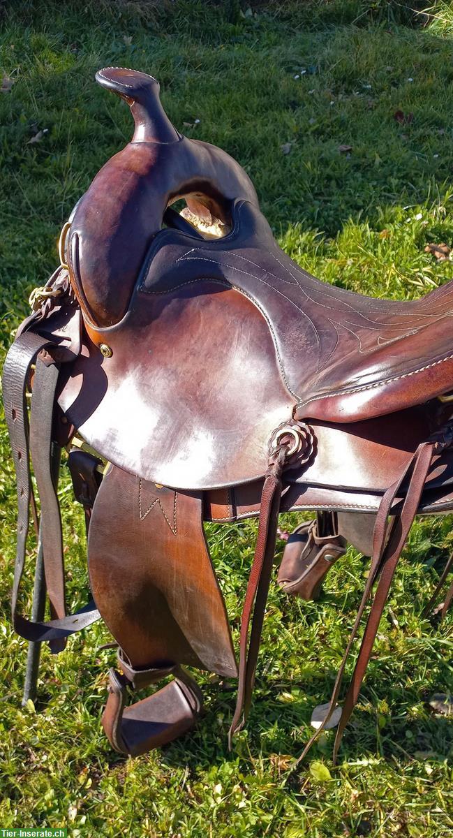 Sharon Saare Westersattel 15/F/G zu verkaufen