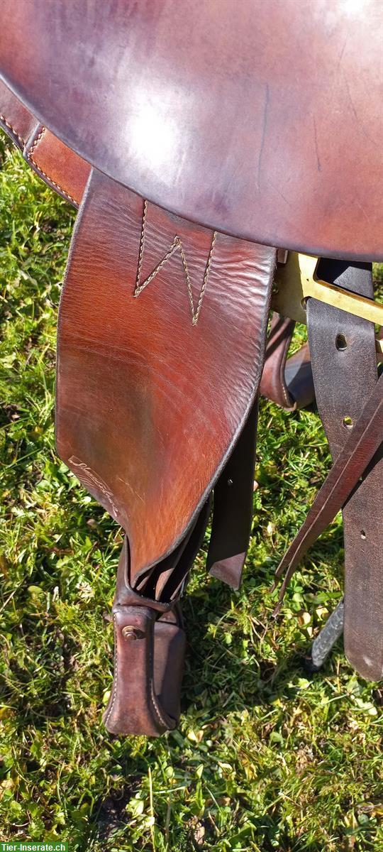 Bild 2: Sharon Saare Westersattel 15/F/G zu verkaufen