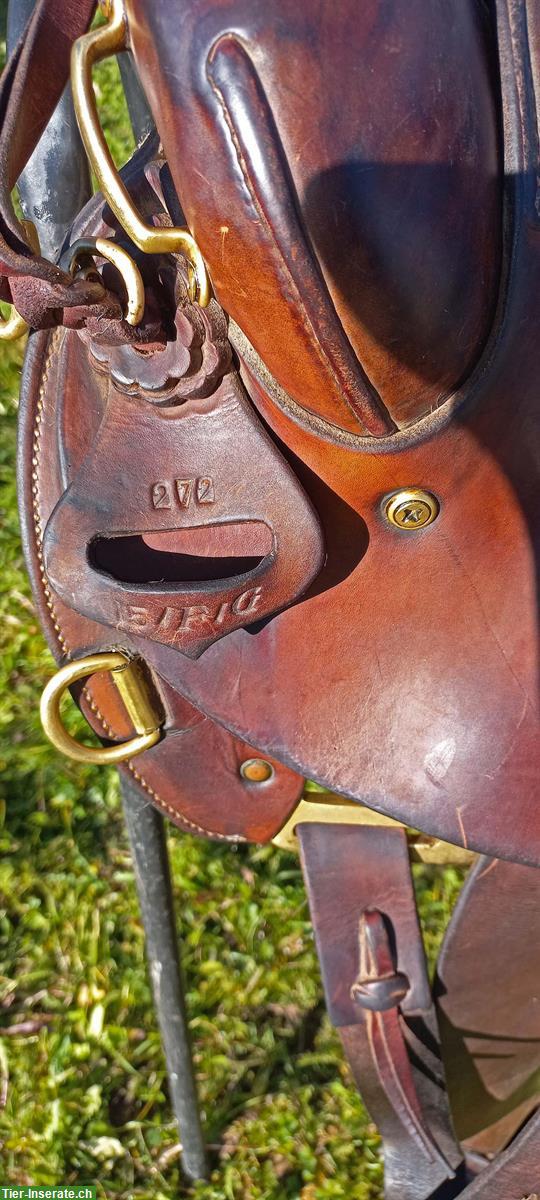 Bild 3: Sharon Saare Westersattel 15/F/G zu verkaufen