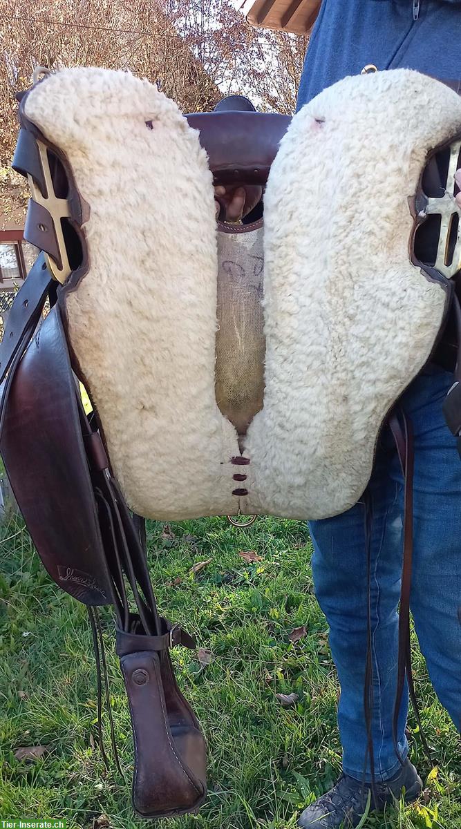 Bild 5: Sharon Saare Westersattel 15/F/G zu verkaufen
