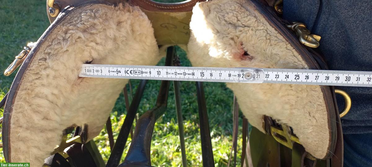 Bild 8: Sharon Saare Westersattel 15/F/G zu verkaufen