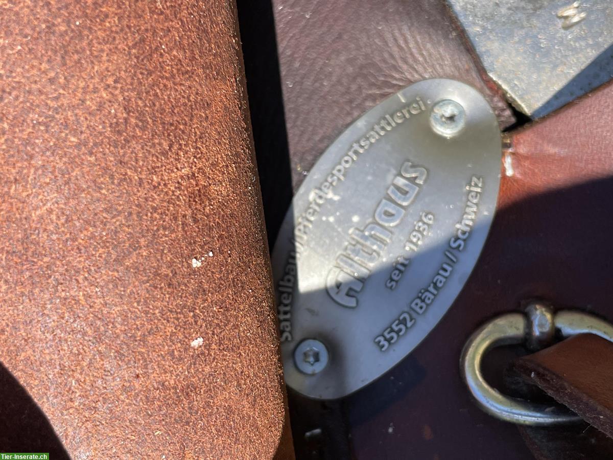 Bild 3: Althaus Sattel 16.5 Zoll (für gerade Rücken)