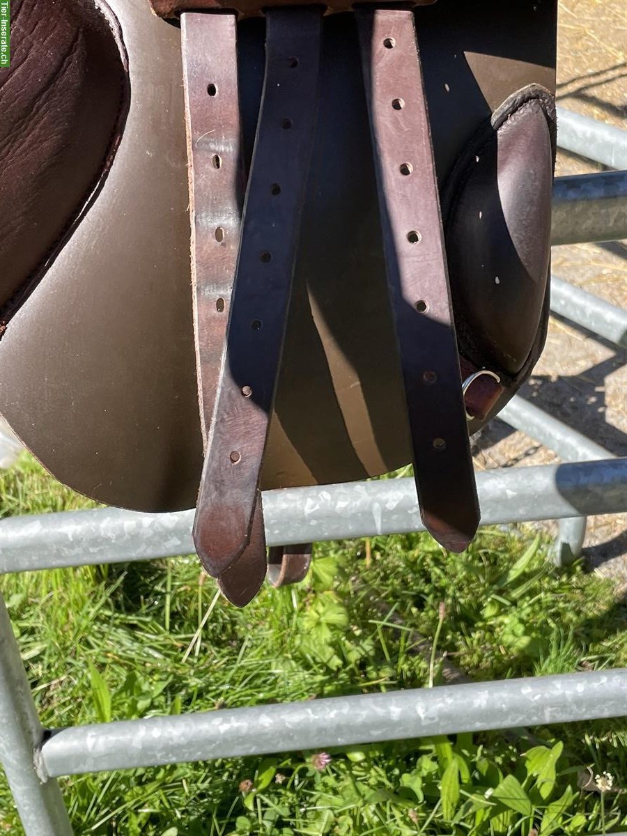 Bild 4: Althaus Sattel 16.5 Zoll (für gerade Rücken)