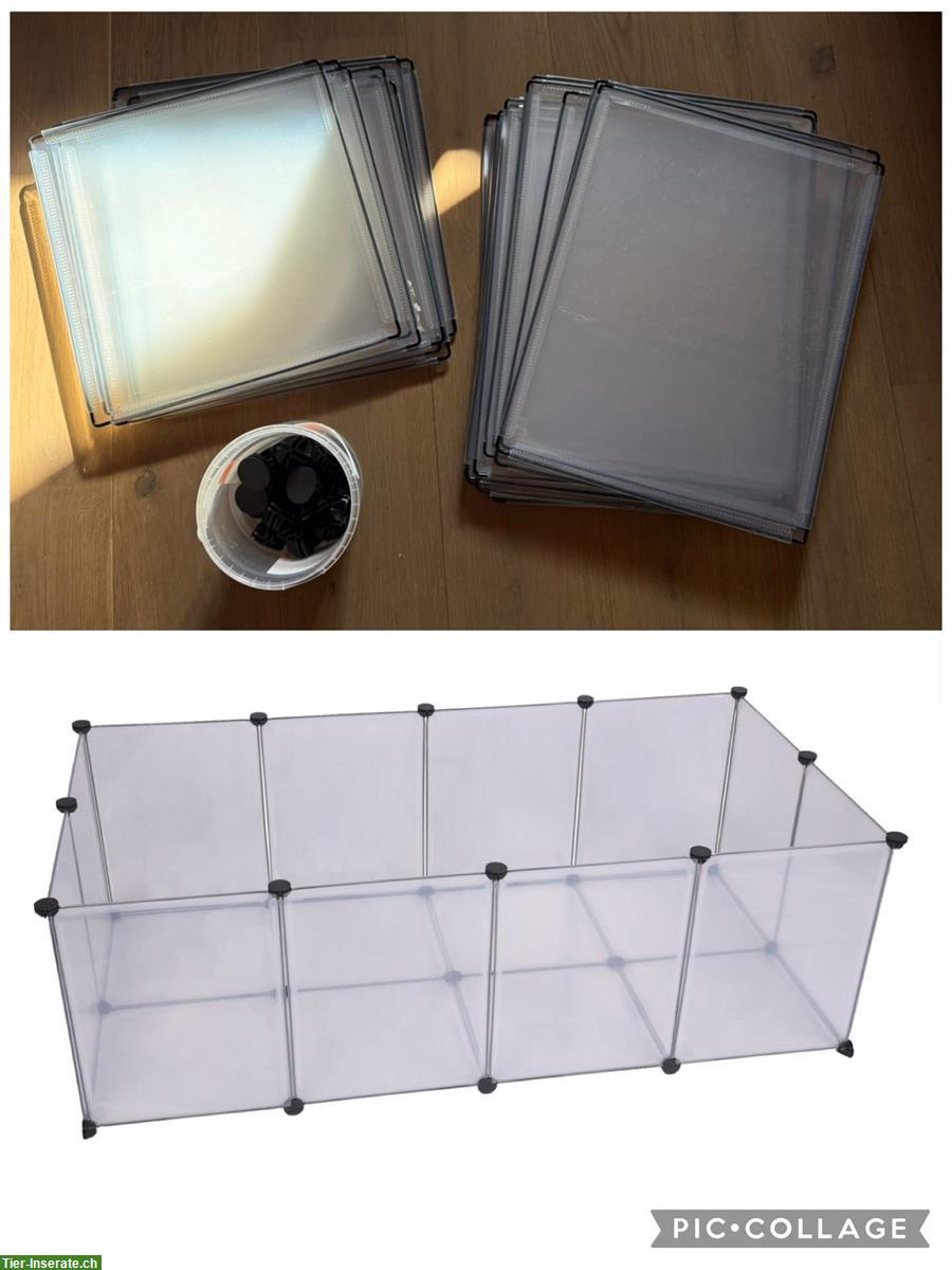 Bild 4: 2 Meerschweinchen (weiblich) mit Zubehör abzugeben