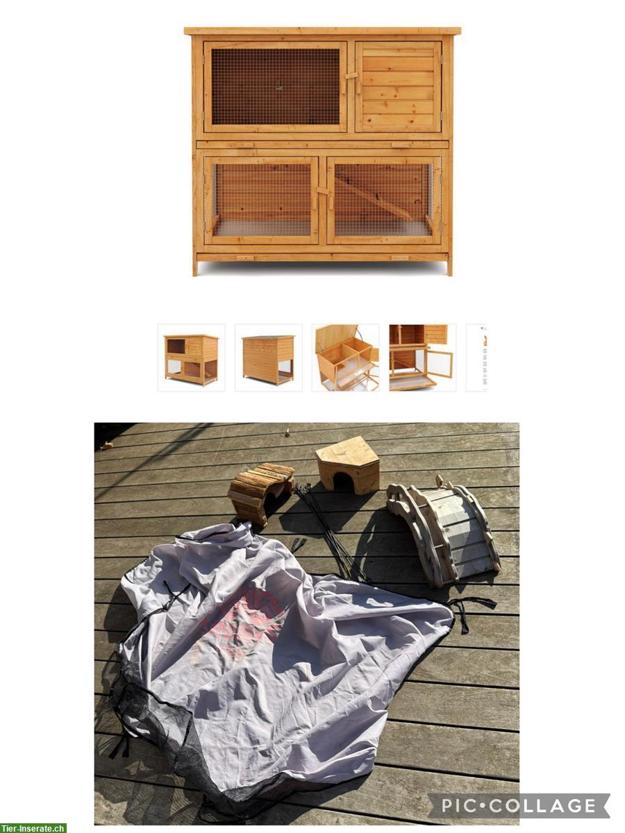 Bild 5: 2 Meerschweinchen (weiblich) mit Zubehör abzugeben