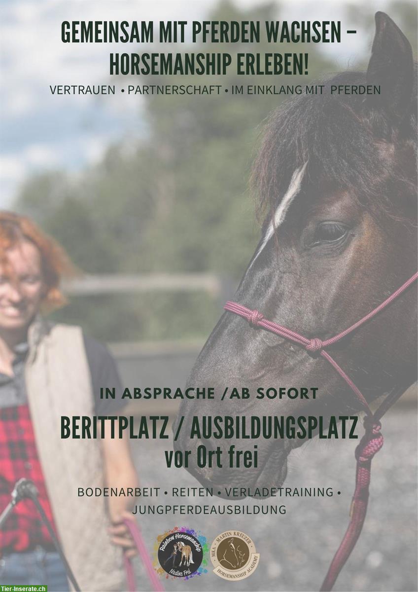 Berittplatz/Ausbildungsplatz frei nach MKA Horsemanship