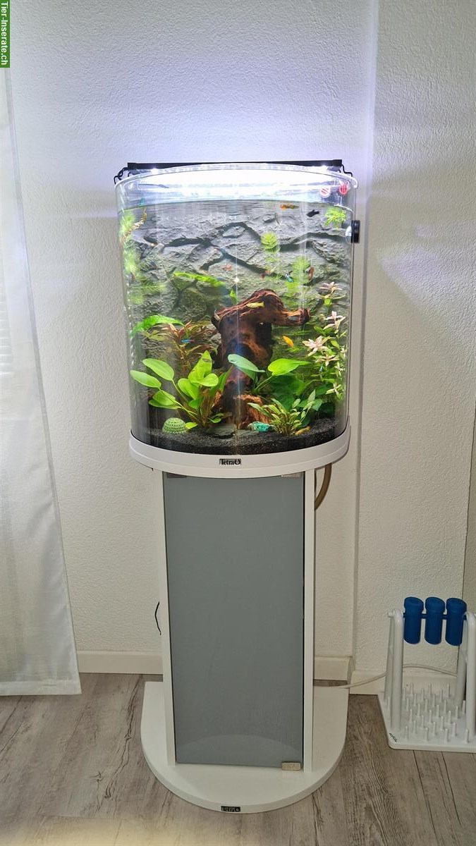 60L Aquarium mit Unterschrank und Zubehör