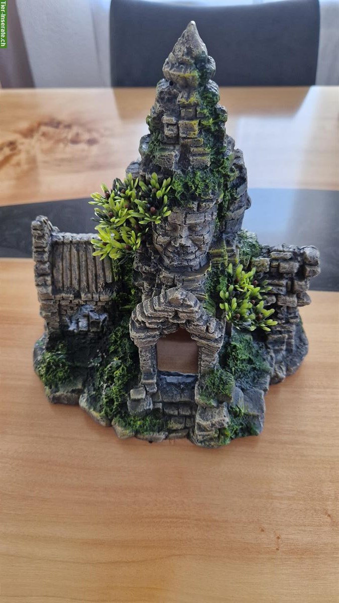 Bild 10: 60L Aquarium mit Unterschrank und Zubehör