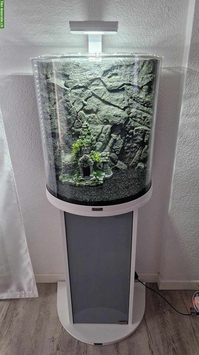 Bild 3: 60L Aquarium mit Unterschrank und Zubehör