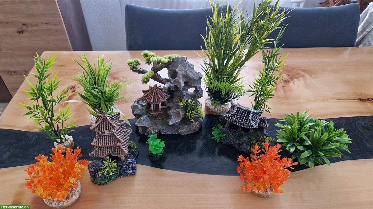 Bild 9: 60L Aquarium mit Unterschrank und Zubehör