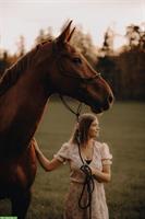 Reitbeteiligung für KWPN Wallach in Hagendorn ZG