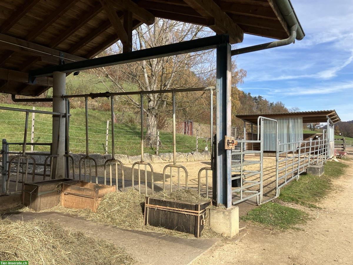 Bild 3: Offenstall für zwei Pferde in Diegten BL