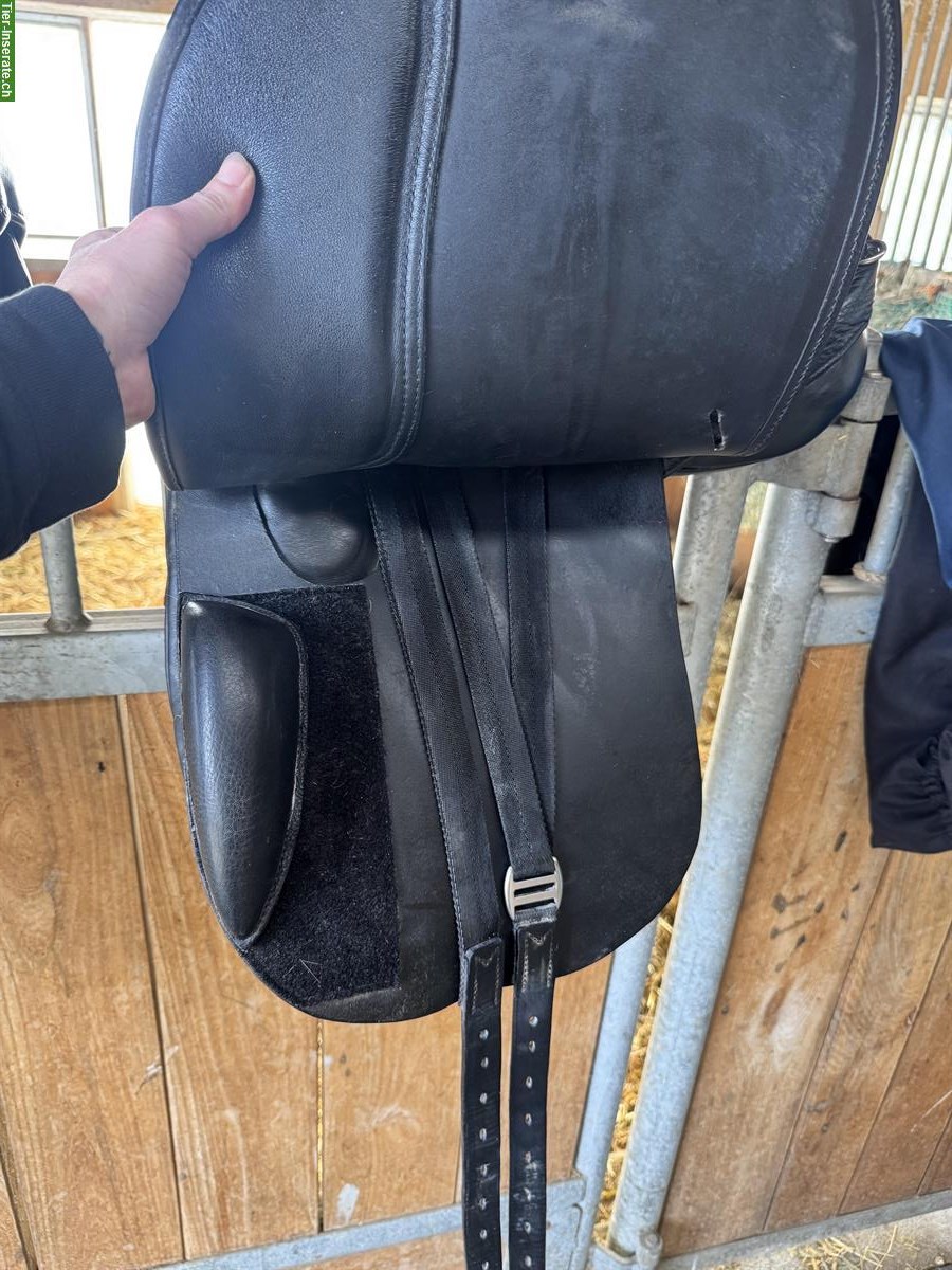 Bild 3: MISS Dressursättel 17.5 Zoll, schwarz