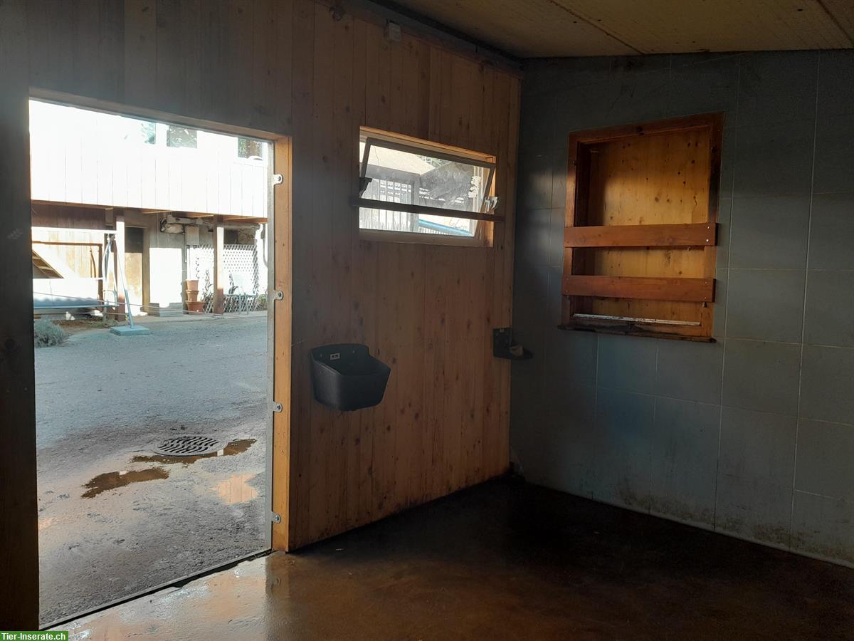 Pferdeboxe zu vermieten, 3534 Signau