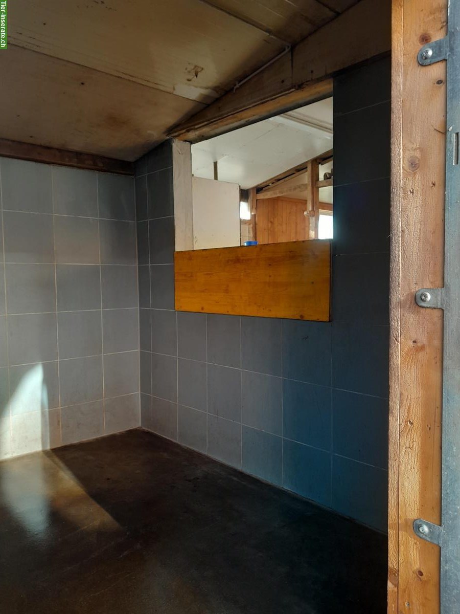 Bild 2: Pferdeboxe zu vermieten, 3534 Signau