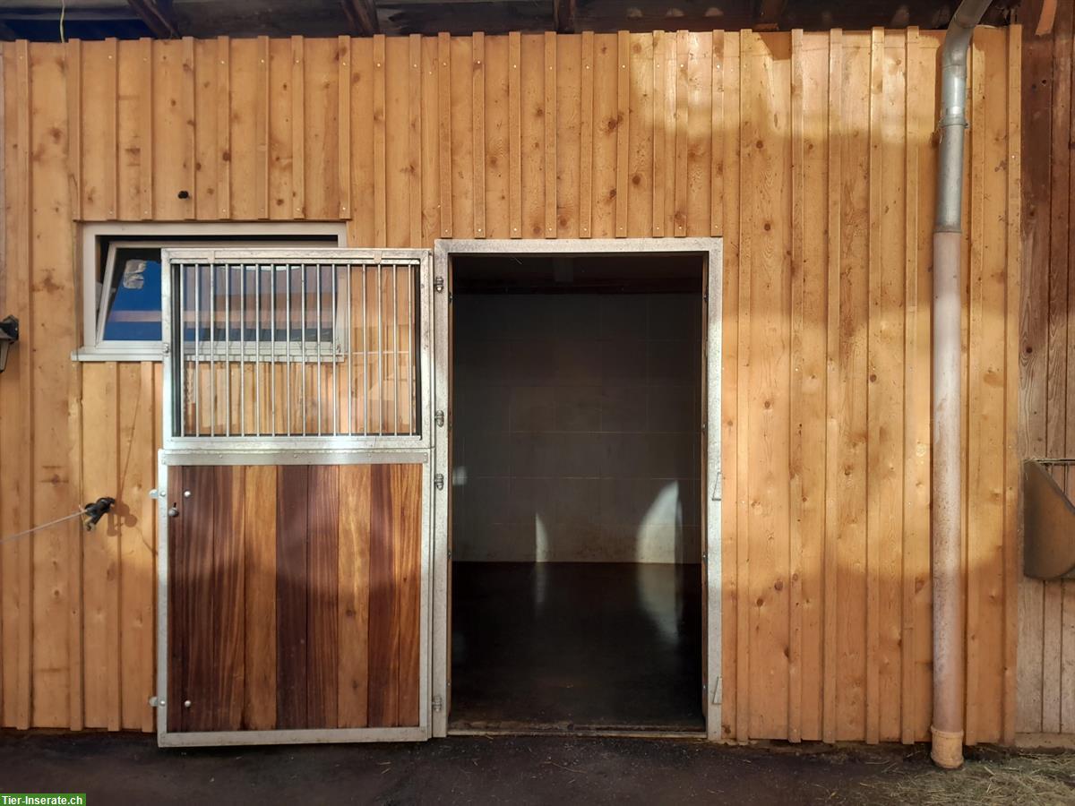 Bild 3: Pferdeboxe zu vermieten, 3534 Signau